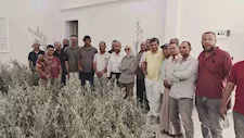  محافظ جنوب سيناء ينهي أزمة مزارعي تجمع النهايات برأس سدر ويعوضهم بشتلات زيتون جديدة