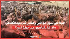جولة في سوق مواشي برطس قبل عيد الأضحى.. ماذا قال البائعون عن حركة البيع؟