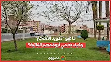 تكويد الأشجار" وكيف يحمي ثروة مصر النباتية؟...