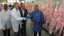 محافظ القاهرة: منع ذبح الأضاحي في الشوارع وتحرير محاضر للمخالفين