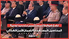 الرئيس السيسي نضع ضوابط للمستثمرين بتحديد نوعية المحاصيل المستهدفة لضمان الأمن الغذائي
