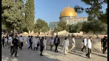 عشرات المستوطنين يقتحمون المسجد الأقصى ويؤدون طقوسا تلمودية في باحاته (فيديو)