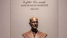 من أغرب متاحف مصر.. "نجيب محفوظ" يضم 1350 جنينًا مشوهًا- (فيديو)