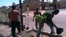 بسبب ارتفاع الحرارة.. محافظ أسوان يوقف العمل الميداني لعمال النظافة خلال ساعات الذروة