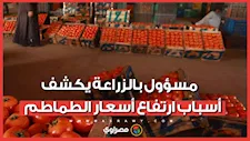 التصدير ليس السبب.. مسؤول بوزارة الزراعة يكشف أسباب ارتفاع أسعار الطماطم
