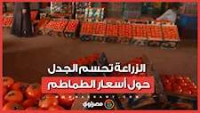 هل تسبب التصدير للخليج في ارتفاع الأسعار؟.. الزراعة تحسم الجدل
