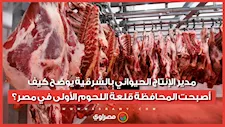 بـ 1.3 مليون رأس ماشية.. مدير الإنتاج الحيواني بالشرقية يوضح كيف أصبحت المحافظة قلعة اللحوم الأولى في مصر؟