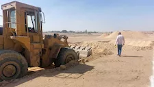 بدء مشروع مجمع للنباتات الطبية والعطرية ببني سويف باستثمارات 500 مليون جنيه