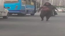 العملاق المرعب يثير الذعر في مصر الجديدة.. والشرطة تتدخل