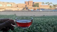 من المقاهي إلى خطابات الرؤساء.. كيف أصبح الشاي مزاج المصريين؟