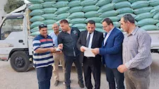  الجيزة تضبط 11 طن دقيق بلدي مدعم قبل تهريبها للسوق السوداء بالوراق