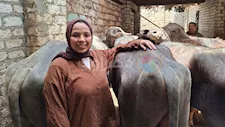 "بخلطة حبة البركة والزفة البلدي".. "آية" تتربع على عرش الجزارة بسوهاج -فيديو