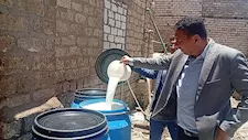 بسبب حشرات ومواد محظورة.. إغلاق 4 معامل ومصنع ألبان فاسدة في المنيا -صور