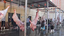 ذبح الأضاحي مجانًا.. محافظ القليوبية يتفقد مجزر غرب شبرا الخيمة