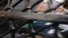 شنق "حُمص" وعاش مع جثته 60 يومًا تحت السرير.. جريمة هزت الجيزة (قرار الجنايات)