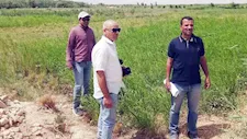 محافظة سوهاج تنفي زراعة خضروات بمياه الصرف الصحي 