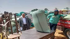 توريد 191 ألف طن قمح بصوامع وشون أسيوط منذ بدء الموسم