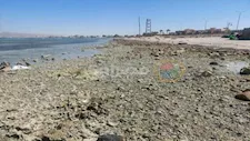 الشعاب المرجانية ظهرت.. انحسار البحر بشواطئ جنوب سيناء 30 مترًا