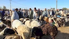 بورصة الأضاحي في أسيوط.. البقري بـ 190 جنيهاً والخراف تُسجل 240 للقائم
