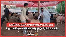 من داخل سوق أسيوط.. تجار يكشفون أسعار الخرفان ومواصفات الأضحية السليمة