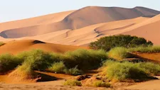10 صور لأجمل وأشهر 8 حدائق في العالم