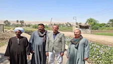 ورد النيل يلتهم ترعة نزلة عمارة.. 1500 فدان تحت خطر العطش بسوهاج (فيديو وصور)