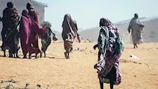 من الفاشر إلى تشاد.. روايات الناجين من إعدامات "الدعم السريع"