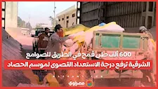 600 ألف طن قمح في الطريق للصوامع.. الشرقية ترفع درجة الاستعداد القصوى لموسم الحصاد