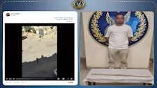 ادعى انزعاجه من النباح.. ضبط متهم بالتعدي على كلب حتى النفوق بالقاهرة