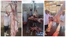بالأرقام.. ذبح أكثر من 35 ألف أضحية بالمجازر الحكومية خلال عيد الأضحى مجانًا