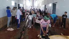 مجازر الوادي الجديد تنهي عملها في عيد الأضحى بعد ذبح 342 أضحية