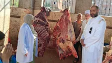محافظ أسيوط: ذبح 655 أضحية ونجاح منظومة الطب البيطري خلال العيد  