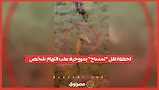 بالمروحية.. شرطي ينتشل تمساحاً مشتبهاً بـالتهام شخص مفقود