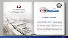 الحكومة: 12 منطقة استثمارية تحتضن 1200 مشروع باستثمارات 66.3 مليار جنيه