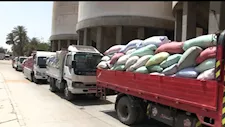 سوهاج تتجاوز 100 ألف طن قمح منذ بدء موسم التوريد 