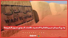 للمرة الثالثة.. وادي الحيتان ضمن القائمة الخضراء للاتحاد الدولي لصون الطبيعة