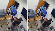 لحظات مرعبة.. أسد يهاجم مروة عبد المنعم ونقلها للمستشفى (صور)