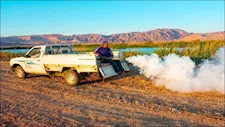 استهداف بؤر التوالد.. جنوب سيناء تواصل حربها على الناموس والحشرات