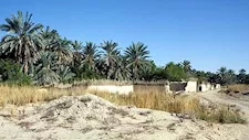 شريان مائي تحت الرمال.. "عين جالاو" بالفرافرة تبوح بأسرار هندسة الرومان 