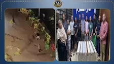 الداخلية تكشف ملابسات فيديو مشاجرة الحجارة في دار السلام