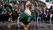 بطة بـ"قميص المكسيك" تثير الجدل في كأس العالم 2026.. ما القصة؟