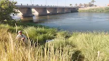 جثة في حالة تحلل على ضفاف الإبراهيمية بأسيوط
