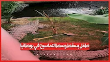امرأة تنقذ طفلًا سقط وسط التماسيح في بريطانيا