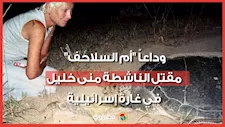  حمت السلاحف من الموت ولم يرحمها القصف.. قصة استشهاد منى خليل في لبنان