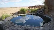 مياه تتحرك مع الزائرين.. سر "عين السرو" في الصحراء البيضاء بالوادي الجديد (صور)
