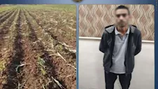 خلاف على فسخ عقد إيجار ينتهي بإتلاف محصول زراعي في البحيرة