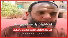 البنت اتشوهت.. والد طفلة بأسوان عقرها كلب يروى لحظات الرعب والبحث عن المصل