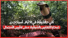 ثاني حالة وفاة في 10 أيام..أسرة إحدى ضحايا الثعابين بالشرقية: مش لاقيين الأمصال