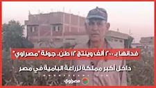 فدانها بـ 200 ألف وينتج 12 طن.. جولة "مصراوي" داخل أكبر مملكة لزراعة البامية في مصر