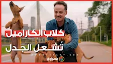 من يملك كلب الكراميل؟ أزمة ساخرة بين البرازيل والمكسيك.. ما القصة؟